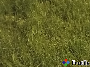 [Usługa Usługi remontowe]